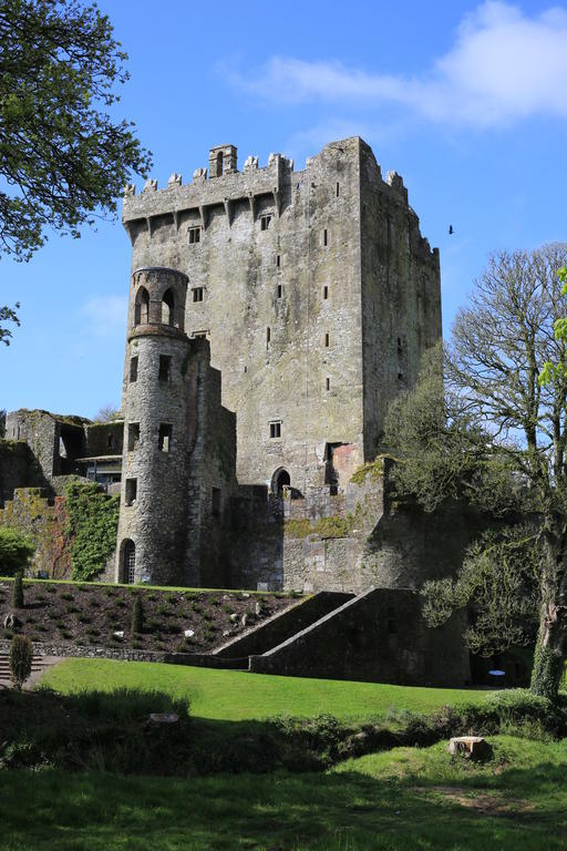 The White House B&B Cork Exterior foto